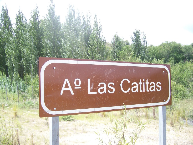 LAS CATITAS 6